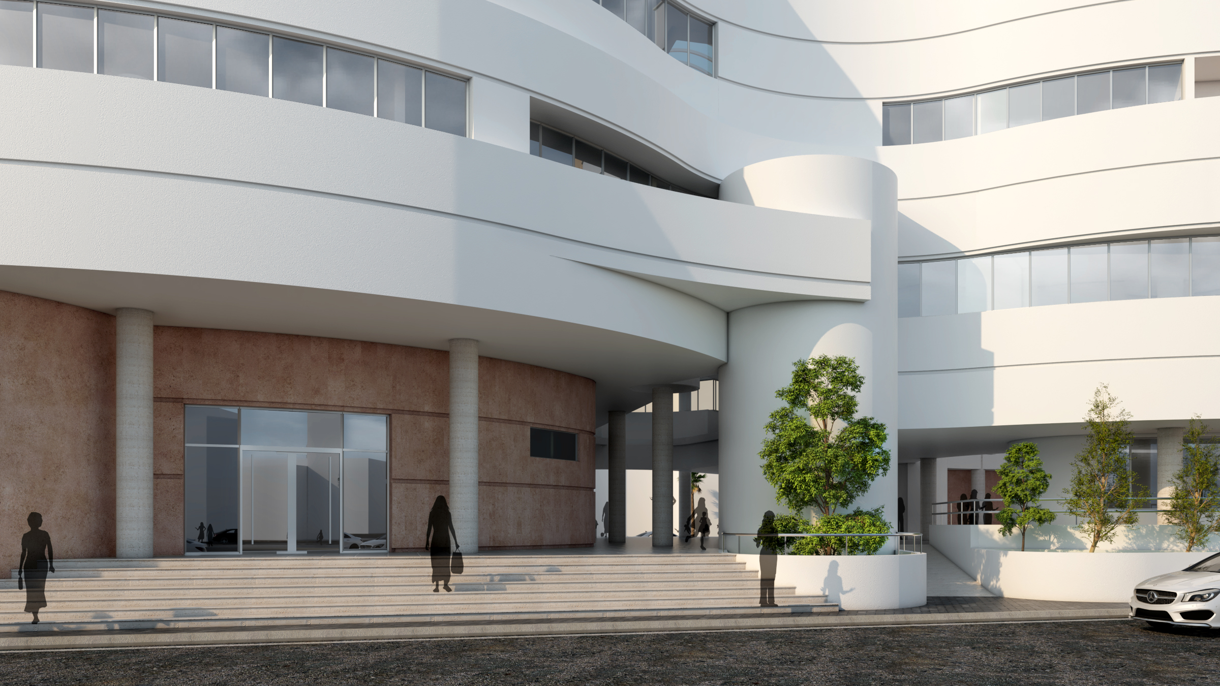 Albonia — image 4